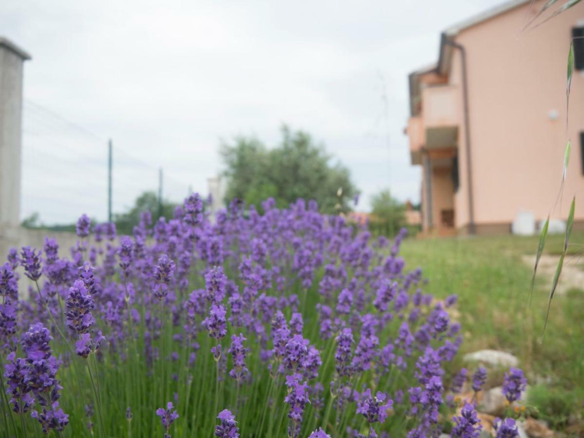 Apartment Lavandula 라빈 외부 사진